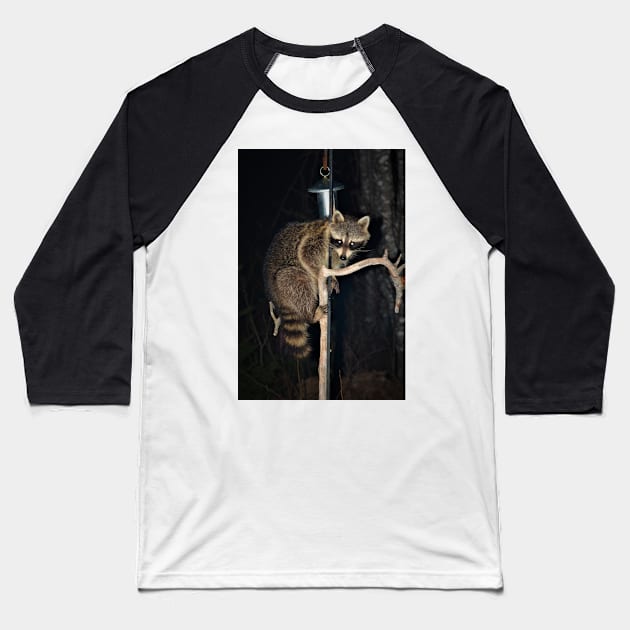 Night Bandit comes calling Baseball T-Shirt by rconyard